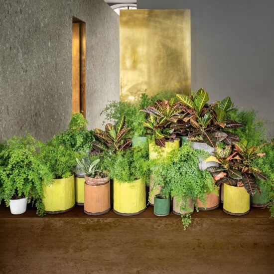 import blog slider top la resistenza superficie 12