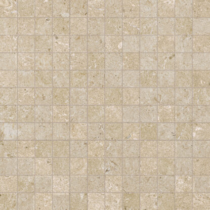 marazzi caracter m9a1.jpg