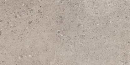 marazzi mystone gris fleury mlkx.jpg