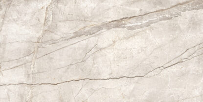 marazzi mystone silver root mpfq.jpg