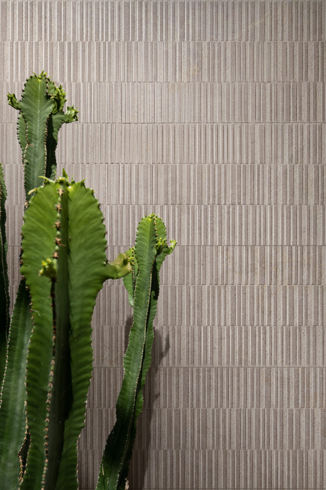 marazzi naturalia 019.jpg
